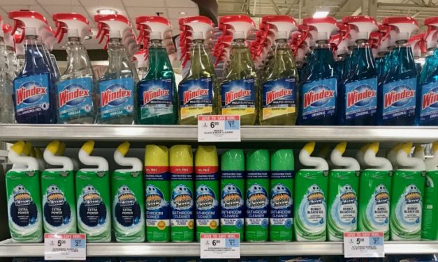 Choose The Right Products For The Job – Save On Great Spring Cleaning Products From SC Johnson