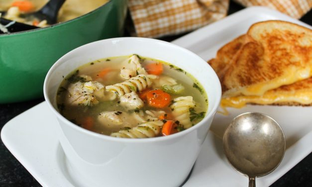 Easiest Chicken Noodle Soup – Super Recipe To Go With The Sales At Publix