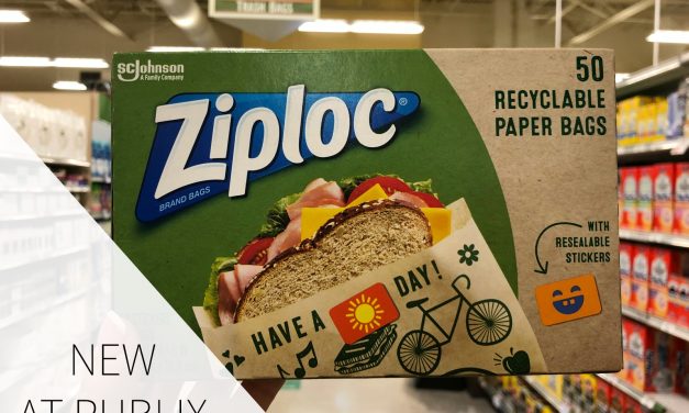 Look For New Ziploc® Paper Bags At Publix – Recyclable, Resealable & Reusable Bags With Fun Designs!