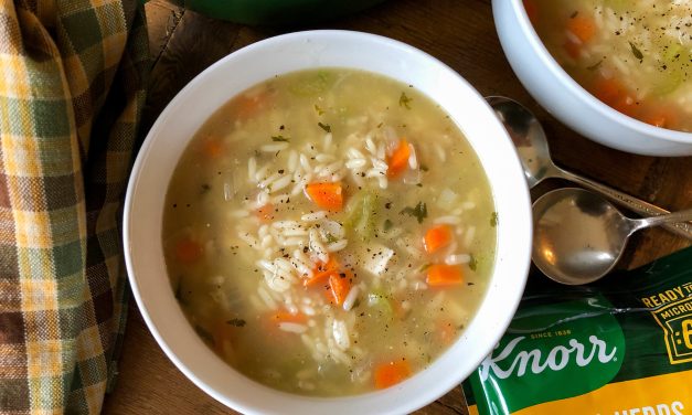 Easy Chicken And Rice Soup Made With Knorr Ready To Serve Rice – Save Now At Publix