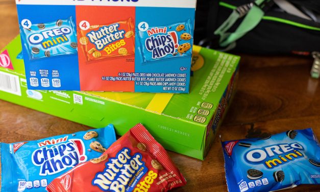 Nabisco Multipack Snacks As Low As $3.75 At Publix (Regular Price $8.49)