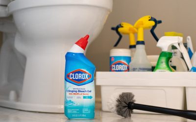 Get Clorox Toilet Bowl Cleaner For Just $2 At Publix