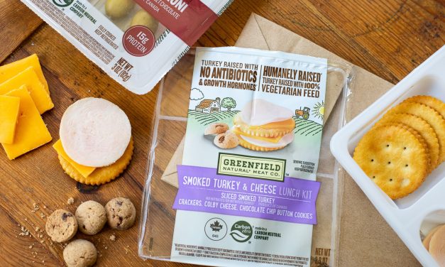 Greenfield Lunch Kit Only $1.75 At Publix