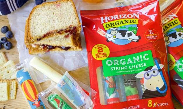 Horizon Organic String Cheese Now Has 8 Sticks In Each Bag – More Yum To Love!