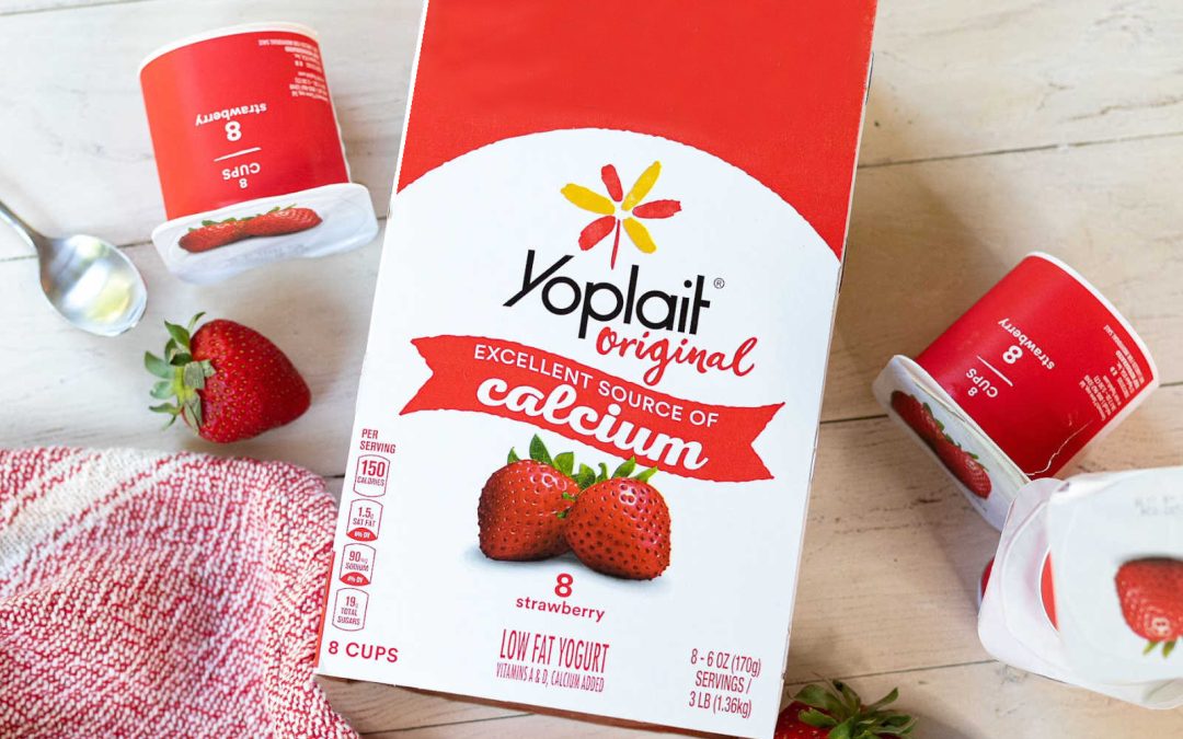 Fantastic Deal On Yoplait Yogurt At Publix – $2.45 Per Pack (Just 31¢ Per Cup)