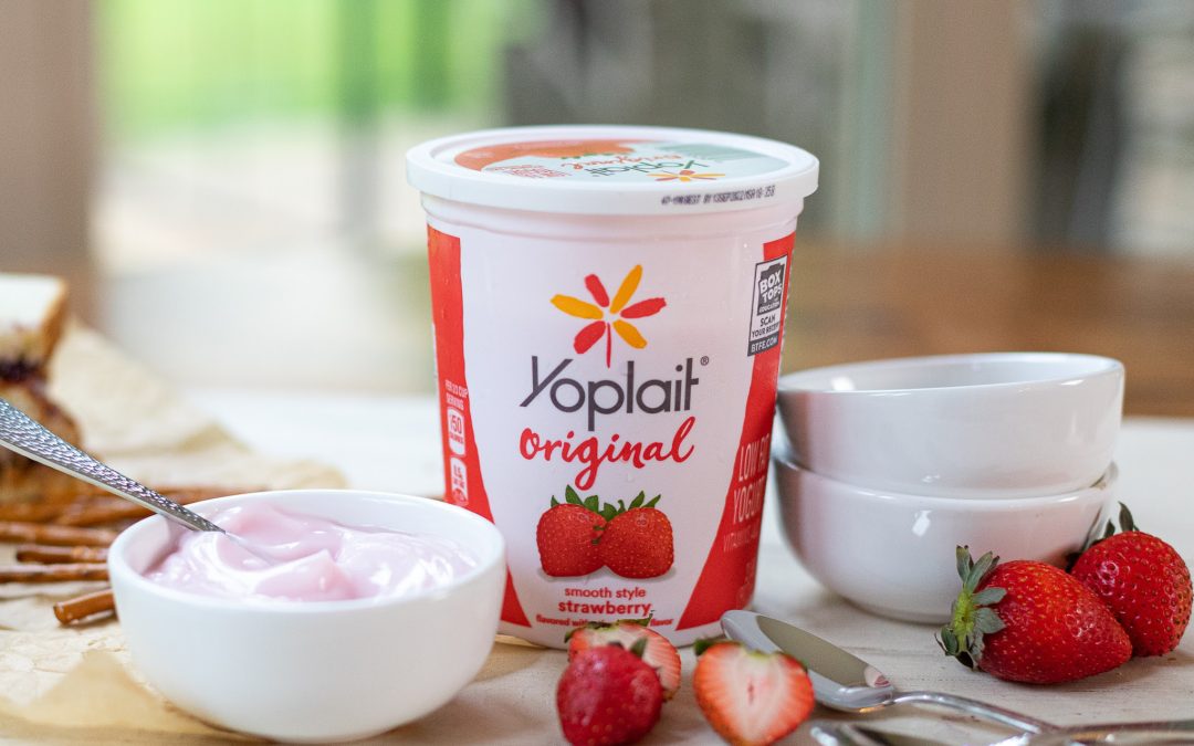 Fantastic Deal On Big Tubs Of Yoplait Yogurt At Publix – Just 95¢ Per Tub