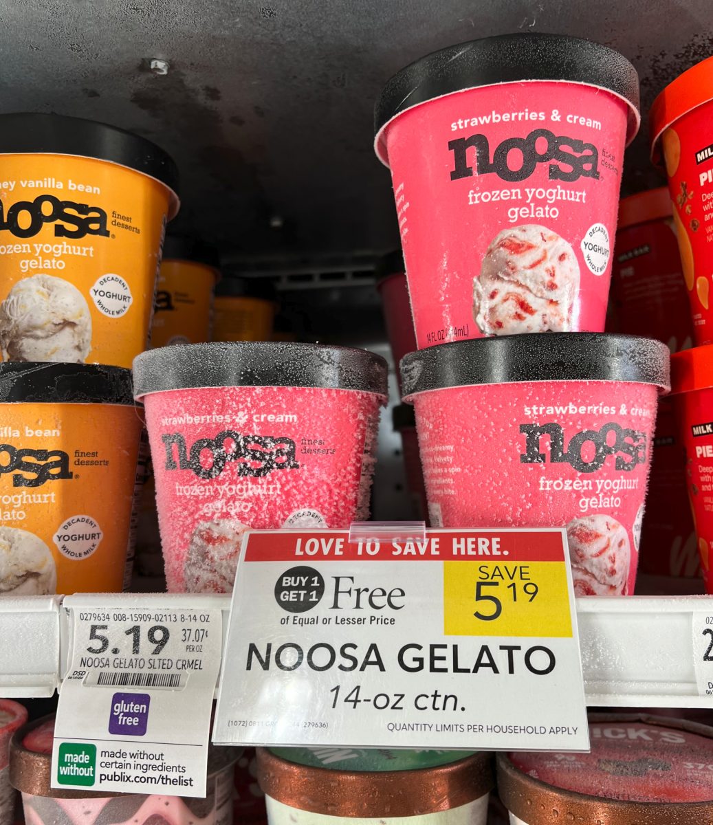 Noosa Frozen Yoghurt Gelato Just 3.50 At Publix iHeartPublix