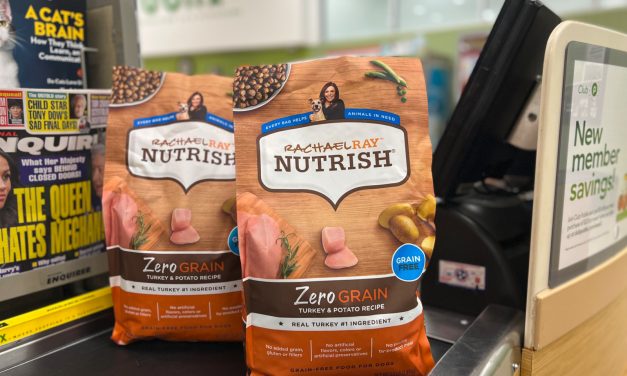 Rachael Ray Nutrish Zero Grain Dog Food Just $4.50 At Publix (Regular Price $12.99)