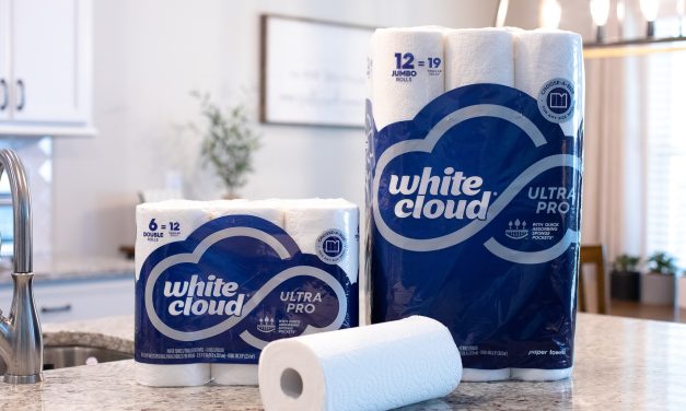 White Cloud Paper Towels 12-Count Just $5.99 At Publix