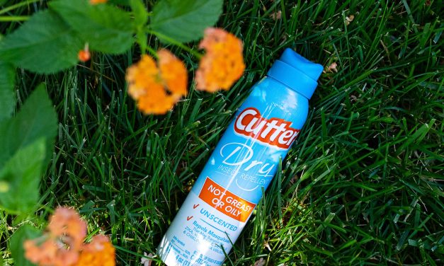 Cutter Insect Repellent As Low As $2.37 At Publix