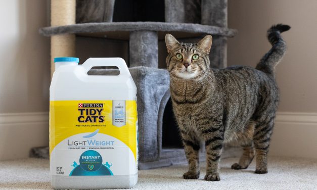 Purina Tidy Cats Clumping Litter Just $6.70 At Publix (Regular Price $15.39)