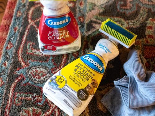 Carbona Carpet Cleaner As Low As $1.85 At Publix - iHeartPublix