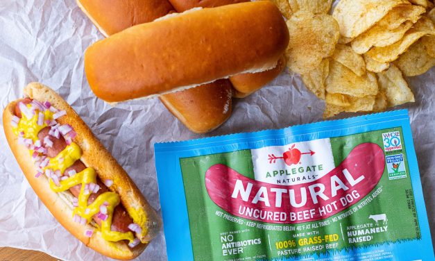 Applegate Beef Hot Dogs As Low As $4.99 At Publix