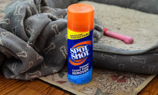 Spot Shot Instant Carpet Stain Remover Just $3.69 Per Can At Publix (Regular Price $5.69)