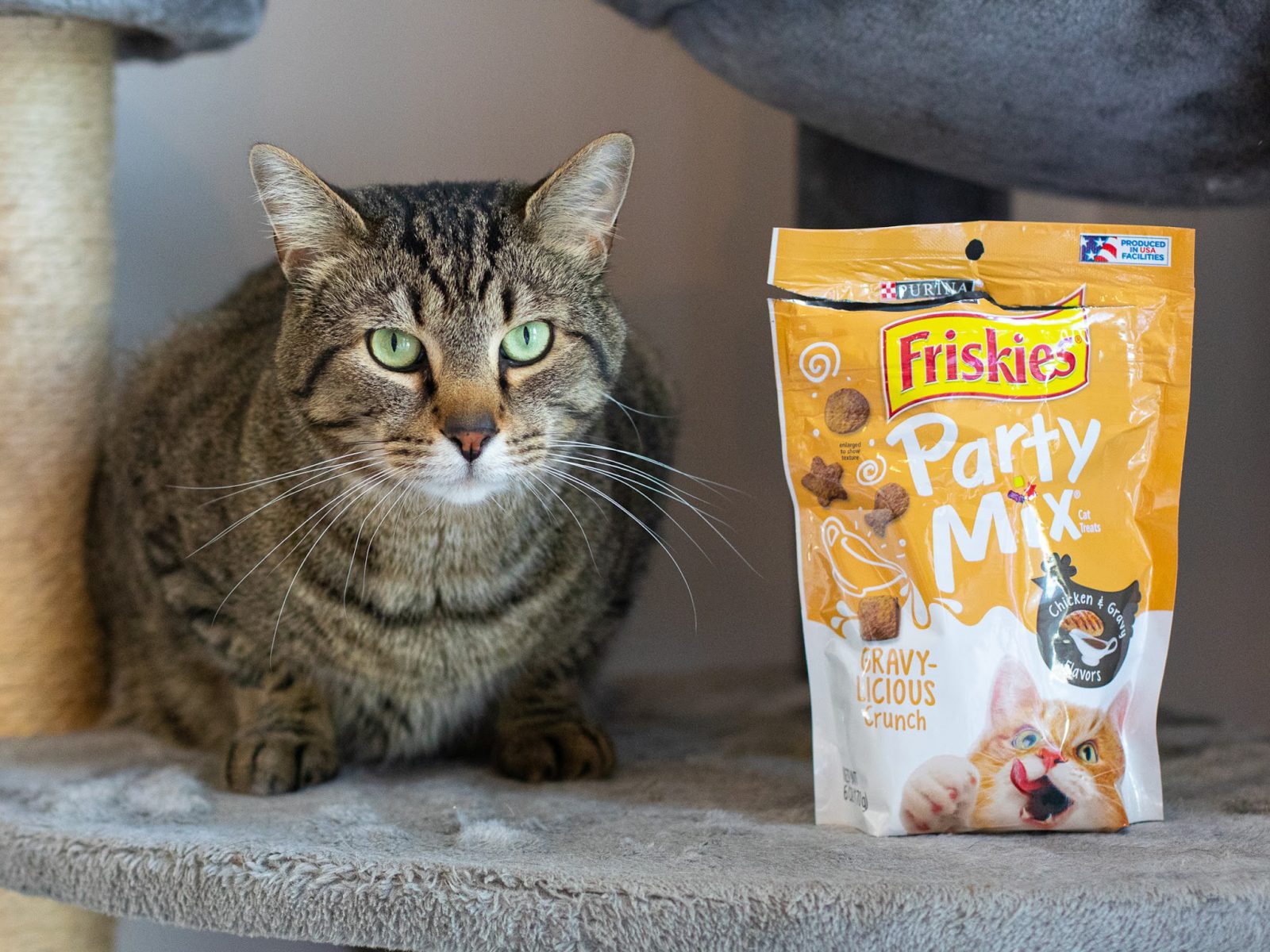 Get The Bags Of Friskies Cat Treats For Just 1.33 At Publix