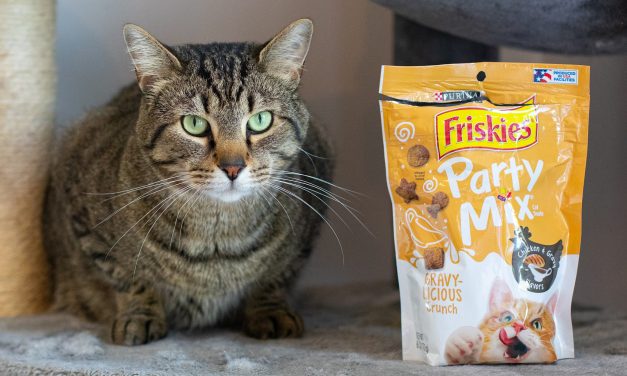 Get The Bags Of Friskies Cat Treats For Just $1.75 At Publix