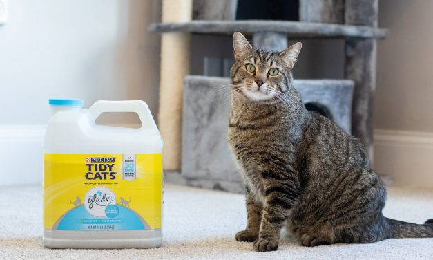 Purina Tidy Cats Clumping Litter Just $3.10 At Publix (Regular Price $10.19)