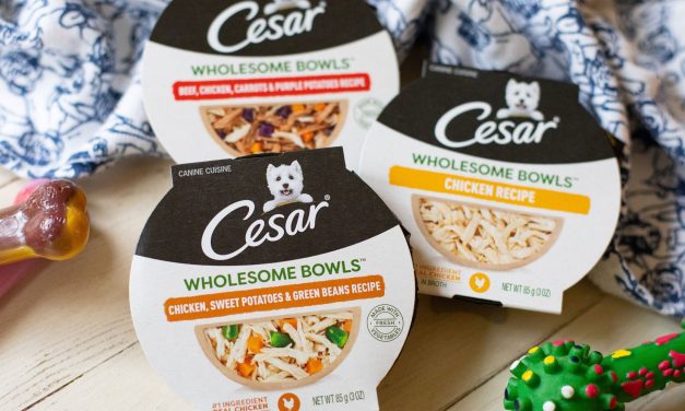 Get The Cesar Wholesome Bowls Dog Food Packs As Low As $3.75 At Publix (Regular Price $17.49)