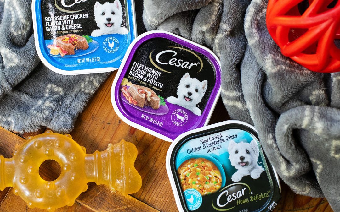 Get Cesar Dog Food Entrees As Low As 80¢ At Publix