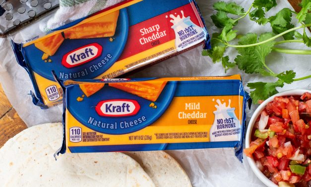 Get Kraft Chunk Cheese For Just $1.69 At Publix