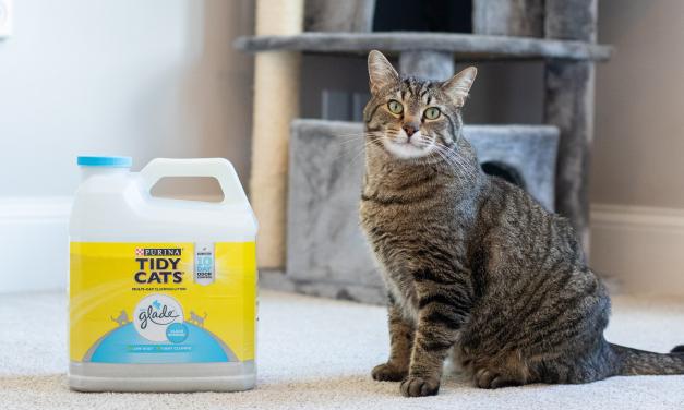 Purina Tidy Cats Clumping Litter Just $5.25 At Publix (Regular Price $13.49)