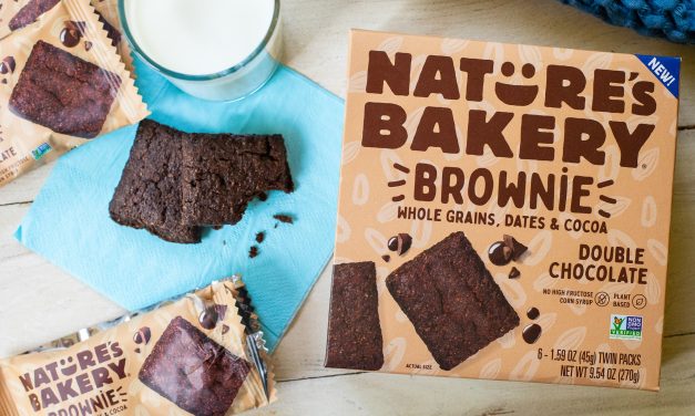 Grab A Discount On Nature’s Bakery Brownies At Publix