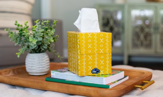 Back To School Savings On White Cloud® Ultra Comfort Lotion 3 Ply Facial Tissue – 3 For $4 At Publix