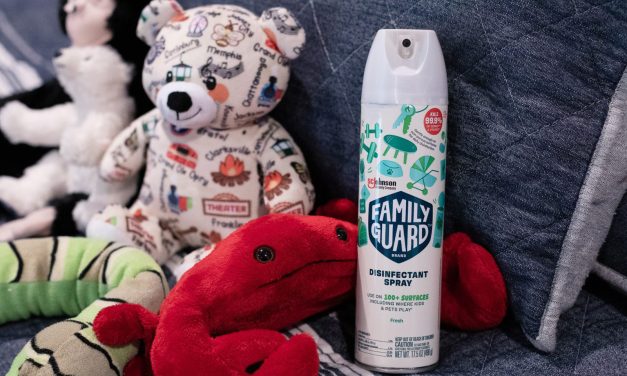 Grab Deals On Family Guard Disinfectant At Publix – Get The Disinfectant Spray As Low As $2