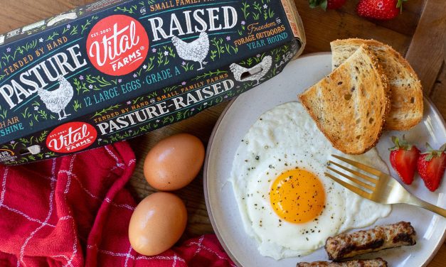 Get Vital Farms Eggs As Low As $5.99 At Publix (Regular Price $8.99)