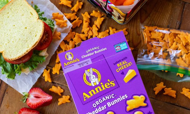 Annie’s Cheddar Crackers As Low As $2.20 At Publix (Regular Price $5.39)