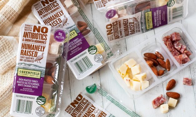 Grab A Couple Of Greenfield Natural Meat Co Snack Kits For FREE At Publix