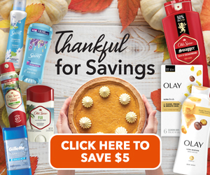 https://www.iheartpublix.com/wp-content/uploads/2023/11/PGPBX_Thanksgiving_PCC_Banner-300X250.jpg