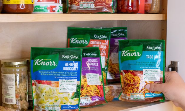 Knorr Sides As Low As $1 At Publix