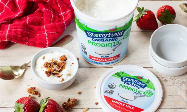 Delicious Stonyfield Organic Smoothies & Tubs Are BOGO At Publix – Stock Up And Save!