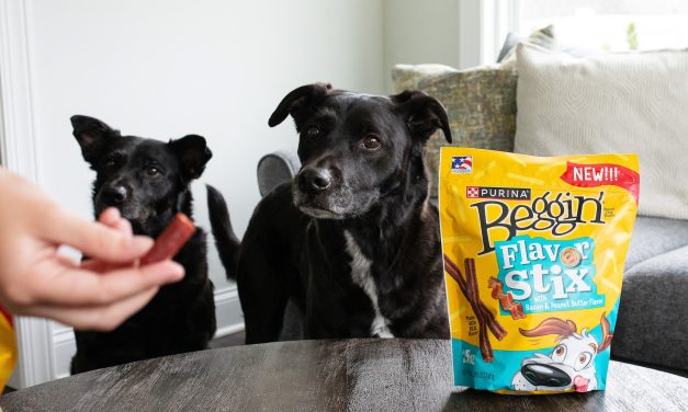 Beggin’ Dog Treats Just $5 Per Bag At Publix (Regular Price $12.99)