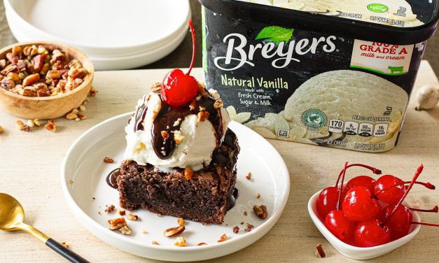 Serve Up Something Sweet For Memorial Day – Get BOGO Breyers At Publix