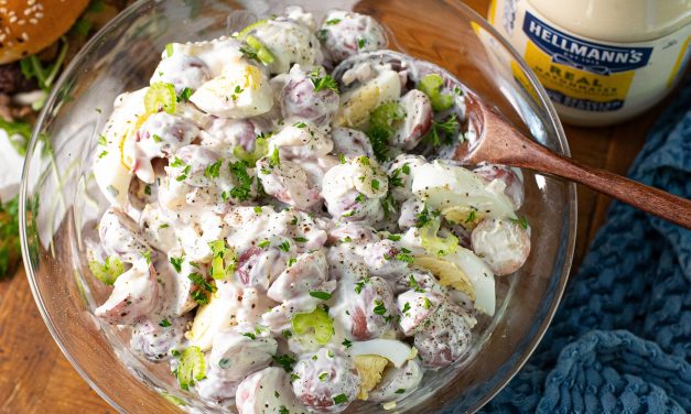 Serve Up A Batch Of The Original Potato Salad At Your Labor Day Gathering – Save On Hellmann’s At Publix