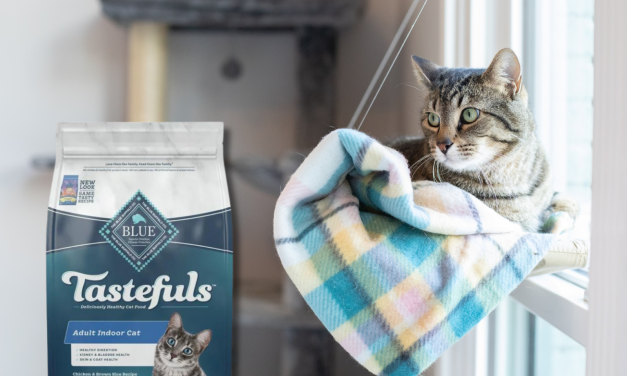 Blue Buffalo Tastefuls Dry Cat Food Just $12.49 At Publix (Save $11!)