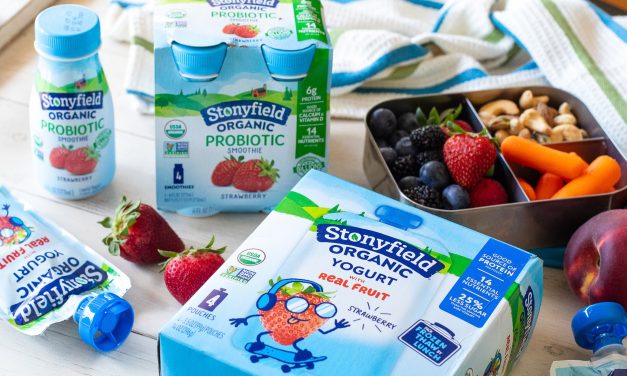 Keep Plenty Of Tasty Snacks On Hand For Summer – Stock Up On BOGO Stonyfield At Publix