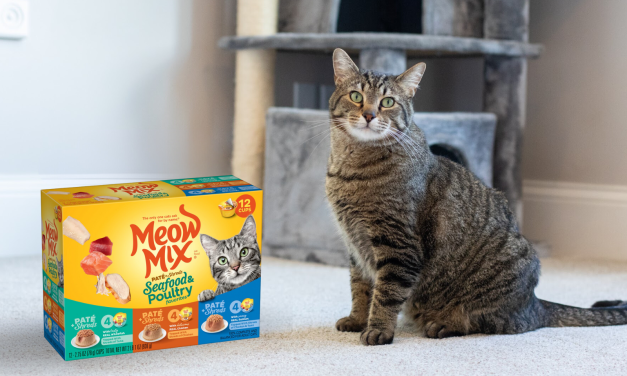 Meow Mix Cat Food 12-Pack Just $5.49 At Publix (Regular Price $9.49)