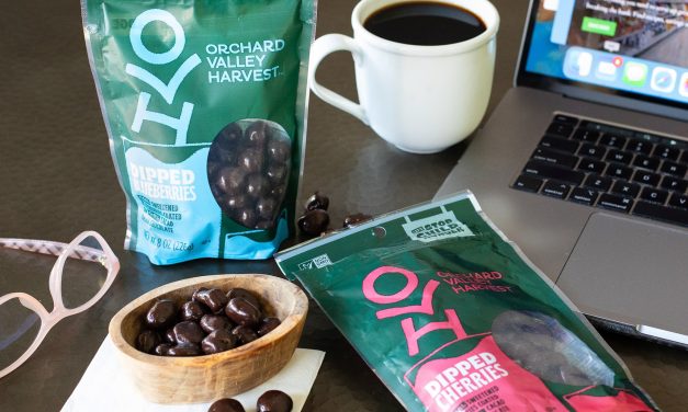 Delicious & Crave-worthy OVH Bagged Snacks Are On Sale At Publix – Stock Up & Save!