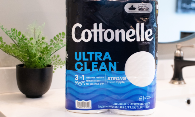 Get A Big Pack Of Cottonelle Toilet Paper For Just $9.99 At Publix – Save $8!!