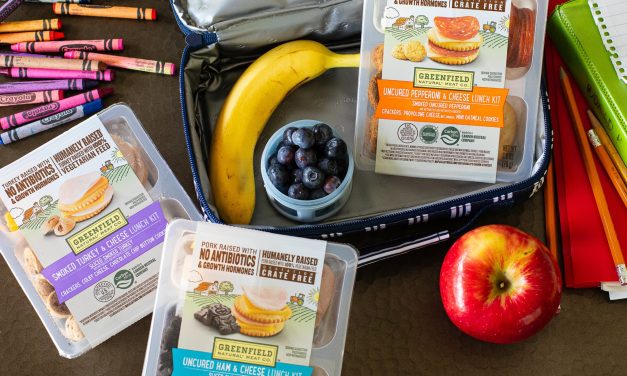 Stock Up For Back-To-School – Greenfield Natural Meat Co.™ Lunch Kits On Sale 2 For $4 At Publix