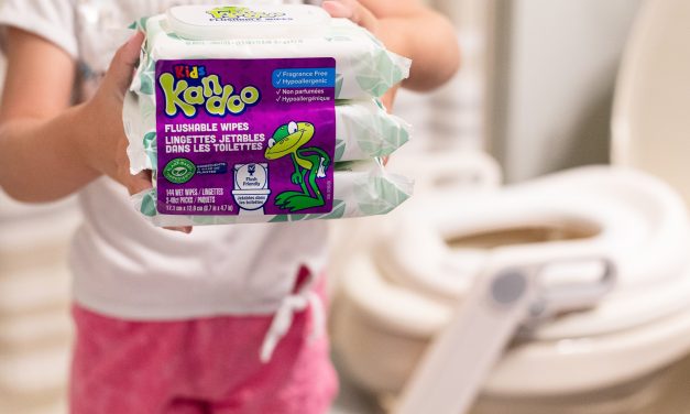 Kandoo Sensitive Toddler Wipes Just $2.50 At Publix