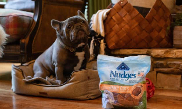 Blue Buffalo Nudges Dog Treats As Low As $6.50 At Publix