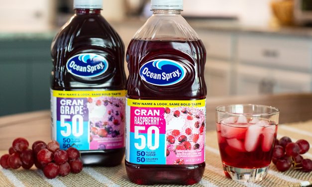 Ocean Spray Light 50 Cranberry Juice Drink As Low As 83¢ At Publix