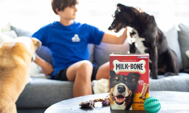 Milk-Bone Dog Treats As Low As $1.51 At Publix