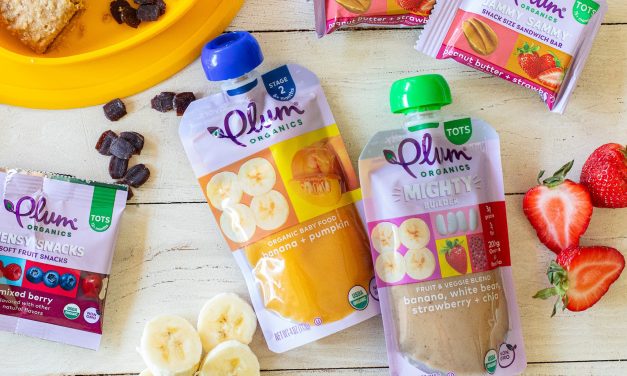 Plum Organics Baby Food Pouches Only $1.12 At Publix