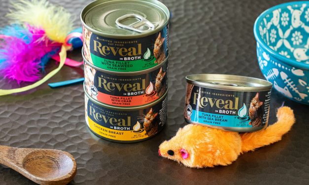 Reveal Cat Food Just 65¢ At Publix