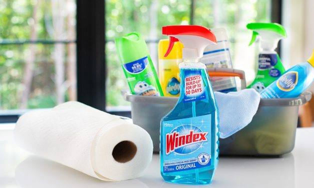 Give Your Home A Back To School Refresh – Grab Savings On Windex® Glass Cleaner At Publix